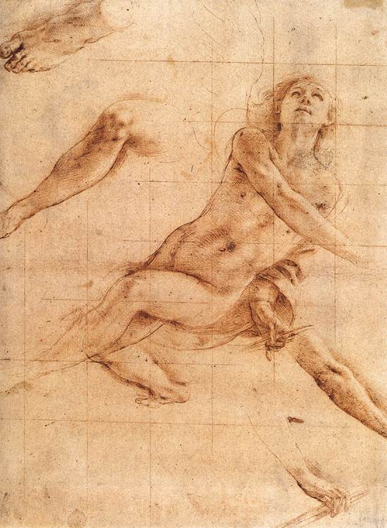 Collections of Drawings antique (1242).jpg